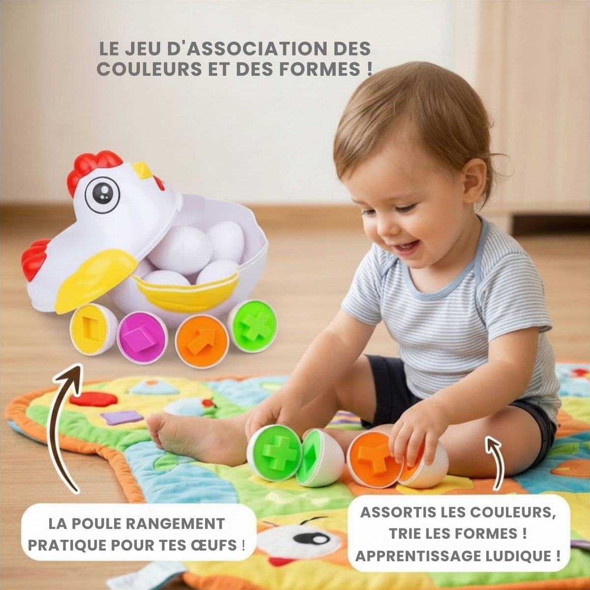 Poulet & ses 12 œufs