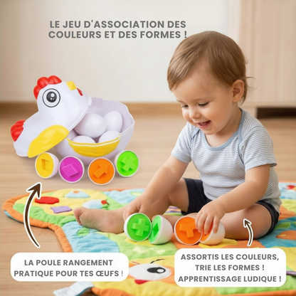 🐔 Poulet & ses 12 œufs
